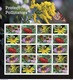 USA 2017 MiNr. 5432 - 5436 Protect Pollinators Insects Butterflies Bees Flowers M\sh MNH** 24,00 € - Abeilles