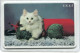 CAT - B.E.L.  Inter. Telecom.  , Exp.1997 , Used - Cats