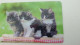 4 CALENDRIERS 2012  CARTE PLASTIQUE CHAT CHIEN ENFANT EVASION ZEN - Badge Di Eventi E Manifestazioni