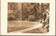 NEW-YORK 1930's - Rare Carte-photo De Belmont Park (LONG ISLAND - North Babylon) - Parcs & Jardins