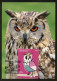 ANDORRA (2022) FAUNA Gran Duc, Bubo Bubo, Buho Real, Hibou Grand-duc, Eurasian Eagle Owl, Uhu Oehoe - Carte Maximum Card - Altri & Non Classificati