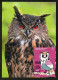 ANDORRA (2022) FAUNA Gran Duc, Bubo Bubo, Buho Real, Hibou Grand-duc, Eurasian Eagle Owl, Uhu Oehoe - Carte Maximum Card - Sonstige & Ohne Zuordnung