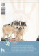 Portugal 1998 Guia Pedagógico Dos Animais De Estimação Cão O Grande Amigo Do Homem História Origens E Raças N.º 1 - Practical