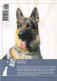 Portugal 1998 Guia Pedagógico Dos Animais De Estimação Cão O Grande Amigo Outras Raças E Pedigree N.º 5 Dog Animal Chien - Praktisch