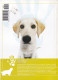 Portugal 1998 Guia Pedagógico Dos Animais De Estimação Cão O Grande Amigo Soluções Para As Férias N.º 14 Dogs - Pratique