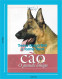 Portugal 1998 Guia Pedagógico Dos Animais De Estimação Cão O Grande Amigo Treino Desportivo E Forma Física N.º 13 Dogs - Práctico