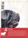 Portugal 1998 Guia Pedagógico Dos Animais De Estimação Cão O Grande Amigoagressividade E Prevenção N.º 15 Dogs - Pratique