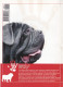 Portugal 1998 Guia Pedagógico Dos Animais De Estimação Cão O Grande Amigoagressividade E Prevenção N.º 15 Dogs - Praktisch