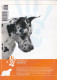 Portugal 1998 Guia Pedagógico Dos Animais De Estimação Cão O Grande Amigo Exposições E Campeões N.º 16 Dogs - Vita Quotidiana