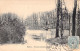 FRANCE - 44 - NANTES - Vue Du Jardin Des Plantes - Carte Postale Ancienne - Nantes