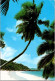 (1 Q 6) Seychelles (posted To France With Whale Stamp) Petite Anse - Seychelles