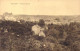 BELGIQUE - Walcourt - Panorama Général - Carte Postale Ancienne - Walcourt