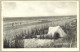 Cadzand - Zeegezicht Met Tent In De Duinen - Cadzand