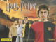 CALENDRIER 2007  HARRY POTTER Et La Coupe De Feu - Grossformat : 2001-...