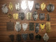 Delcampe - Env. 142 INSIGNES INSIGNE MILITAIRE DRAGO FRAISSE PINS TROUPES ARMEE COLLECTION LOT - Autres & Non Classés