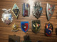 Delcampe - Env. 142 INSIGNES INSIGNE MILITAIRE DRAGO FRAISSE PINS TROUPES ARMEE COLLECTION LOT - Autres & Non Classés