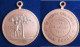 Argentine Médaille En Cuivre 1e Fiesta Del Arbol 1901 San Pedro - Otros & Sin Clasificación