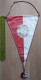 BUDAPEST SPARTACUS SC Hungary  Football Club Football Fussball Futebol Soccer Calcio  PENNANT ZS 1 KUT - Habillement, Souvenirs & Autres