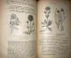 Delcampe - Armenian Illustrated Natural History Botany Gabriel Menevishian 1897 - Livres Anciens