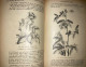 Delcampe - Armenian Illustrated Natural History Botany Gabriel Menevishian 1897 - Livres Anciens