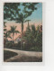 Antike Postkarte   SMITHS PARISH CHURCH BERMUDA - Wallis And Futuna