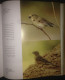 Delcampe - KUWAIT Birds Of Kuwait A Portrait Abdullah F. Alfadhel Ornithology - Andere & Zonder Classificatie