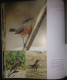 Delcampe - KUWAIT Birds Of Kuwait A Portrait Abdullah F. Alfadhel Ornithology - Autres & Non Classés