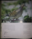 Delcampe - KUWAIT Birds Of Kuwait A Portrait Abdullah F. Alfadhel Ornithology - Andere & Zonder Classificatie