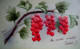 CPA  Gaufrée FRUITS UNE BRANCHE DE GROSEILLER .GROSEILLES   CURRANT  GOOSEBERRIES Embossed  Early PC - Plantes Médicinales