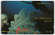 Barbados - The Underwater World - 5CBDC (Large Font) - Barbades