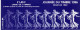 FRANCE / CARNETS JOURNEE & FETE DU TIMBRE / N° BC 2996  ( 1996 ) - Tag Der Briefmarke