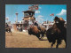 Calgary - Alberta - Calgary Exhibition & Stampede - Indians Riding Wild Buffalo At The Stampede - Photo  Fred Kobsted - Calgary