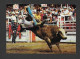 Calgary - Alberta - Calgary Exhibition & Stampede - The Brahma Bull Riding Event Is A Great Thriller - Photo Morrison - Calgary
