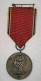 O809 GERMANY WWII AUSTRIA ANCHLUSS MEDAL ORIGINAL.  - Allemagne