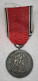 O816 GERMANY WWII AUSTRIA ANCHLUSS MEDAL ORIGINAL. - Duitsland