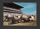 Calgary - Alberta - Calgary Exhibition & Stampede - The Chuckwagon Races With 4 Wagons - Photo Calgary Exhibition - Calgary