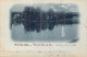 BELGIQUE - Bruxelles - Vue Du Lac Au Bois - Carte Postale Ancienne - Forests, Parks