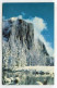 AK 134541 USA - California - Yosemite National Park - El Capitain - Yosemite