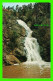 PROVINCIA LA VEGA, RÉPUBLIQUE DOMINICAINE - SALTO DE CONSTANZA - WATER FALL CONZTANZA - LIBRERIA TONY - - Dominikanische Rep.