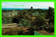 SANTO DOMINGO, RÉPUBLIQUE DOMINICAINE - VISTA AÉREA DE SANTO DOMINGO - AIR VIEW OF THE CITY - LIBRERIA TONY - - Repubblica Dominicana