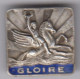 Croiseur GLOIRE. - Insigne émaillé AUGIS - Navy