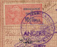 Delcampe - FRANCE - Passeport Délivré à NICE - 1949/1951 - 60F + Complément Tarif 1946 / Fiscal Renouvellement 700 F + Visas Divers - Storia Postale