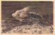 BELGIQUE - Gros Temps - Carte Postale Ancienne - Ciney