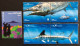 Portugal, AZORES, Full Year 2004, **Mint,  « Europa Cept », « Fishes », « WWF », 2004 - Années Complètes