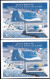 INDIA-2009-PRESERVE THE POLAR REGIONS AND GLACIERS -PENGUINS- POLAR BEAR- ERROR- YELLOW OMITTED-MS-MNH-BR5  - Variétés Et Curiosités