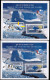 INDIA-2009-PRESERVE THE POLAR REGIONS AND GLACIERS -PENGUINS- POLAR BEAR- ERROR- DRYPRINT-MS-MNH-BR5  - Abarten Und Kuriositäten