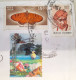 INDIA 2019 REGISTERED SPEED POST COVER Franked With BUTTERFLY, DUCK & C V RAMAN STAMP As Per Scan - Brieven En Documenten
