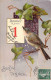 ANIMAUX &FAUNE - OISEAUX - Oiseau Posé Sur Une Branche - Carte Postale Ancienne - Uccelli