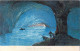 ITALIE - Capri - La Grotta Azzurra - Carte Postale Ancienne - Sonstige & Ohne Zuordnung