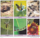 Lot De 6 Cartes Insectes - Collection Disney (winnie L'ourson) - Sonstige & Ohne Zuordnung